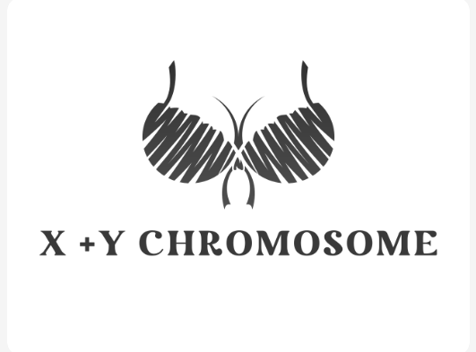 XYraLogo